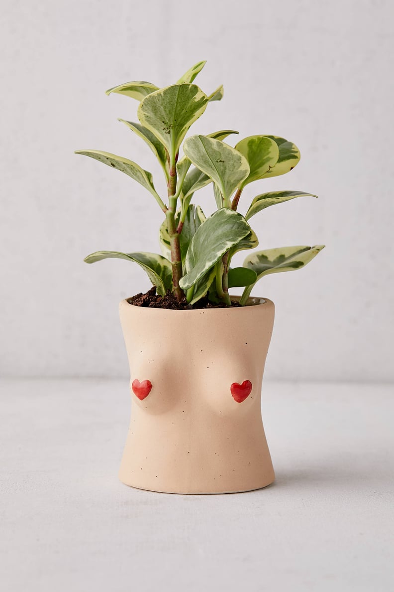 Boob Heart Tassel Planter