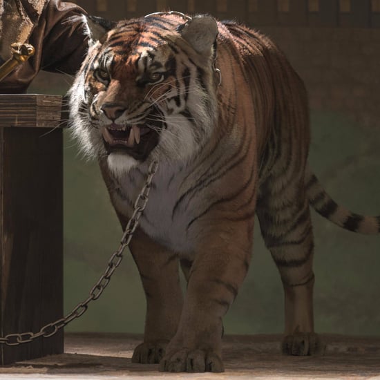 Can Animals Get the Virus on The Walking Dead?