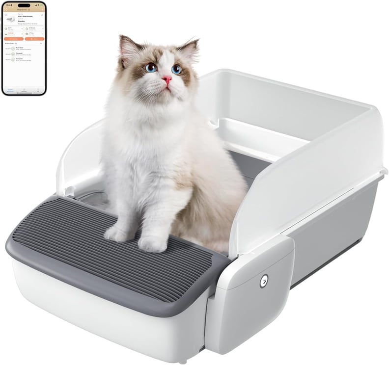 Best Self-Cleaning Litter Box With Barriers