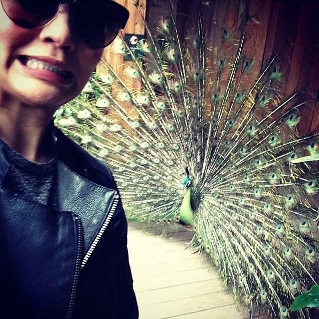 Chrissy Teigen's peacock selfie fared a lot better than Kim Kardashian's elephant pic.
Source: Instagram user chrissyteigen