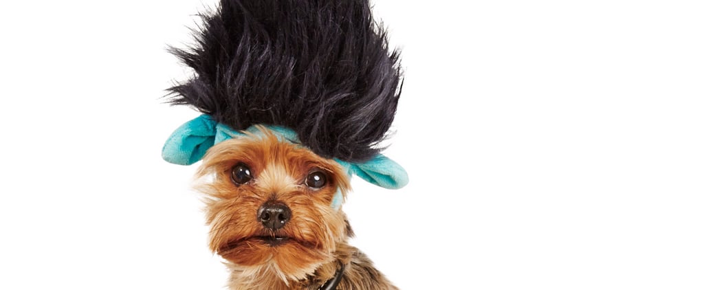 Trolls Halloween Costume For Dogs