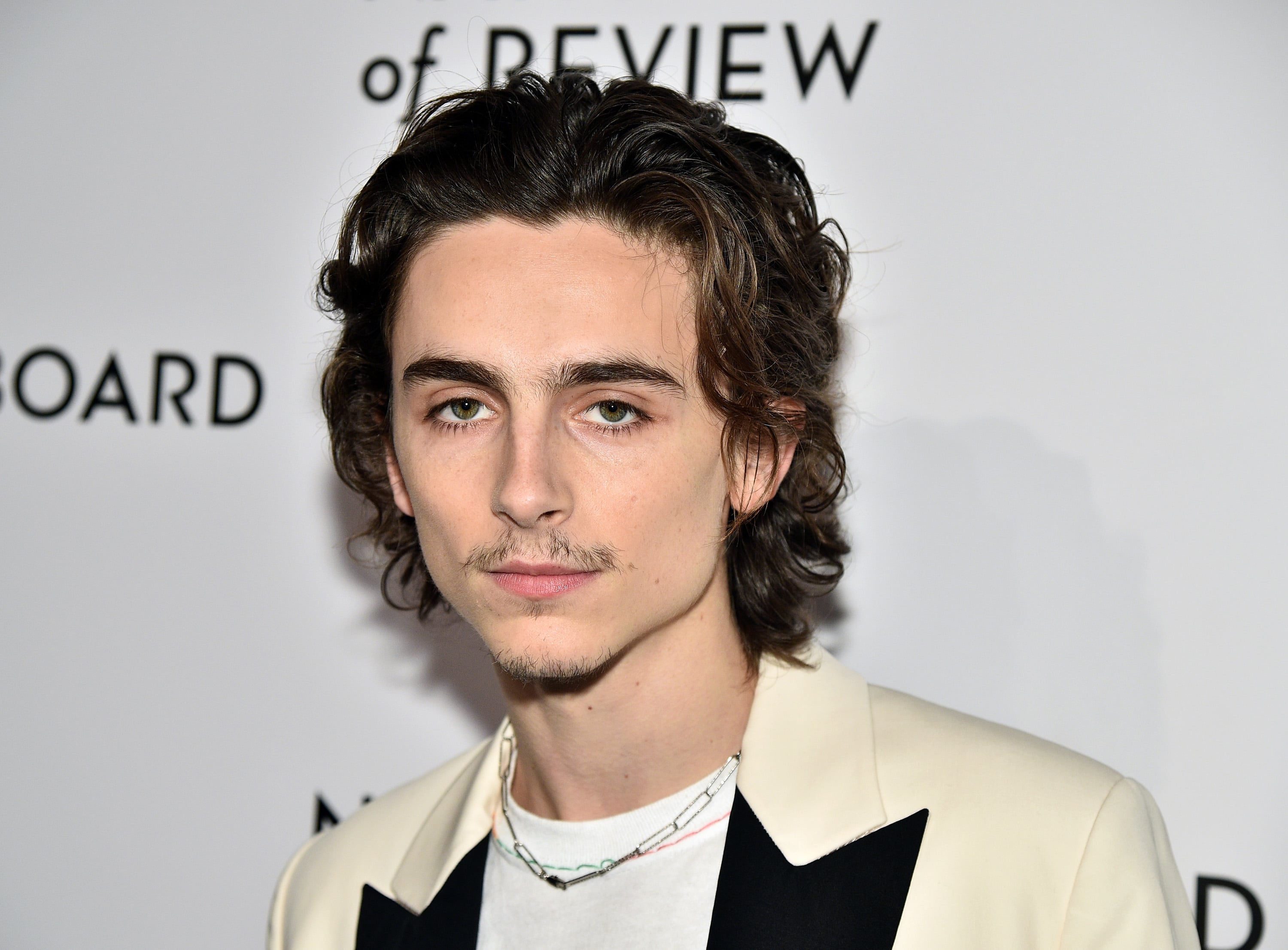 An Ode to Timothée Chalamet's Insanely Chiseled Jawline