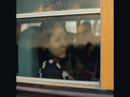 The School Bus
