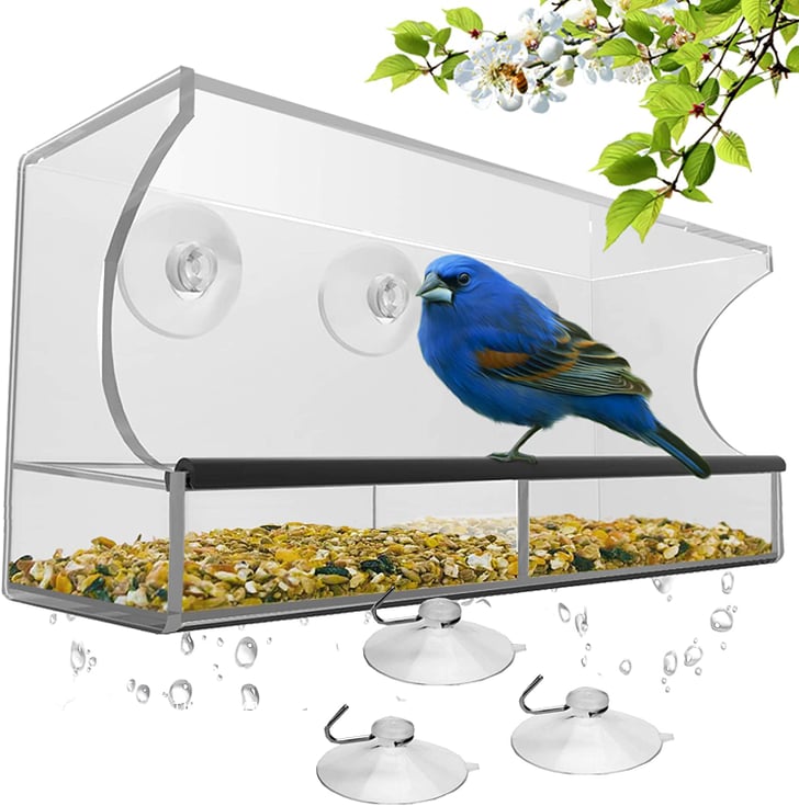 Window bird feeder best outdoor products on sale amazon prime day