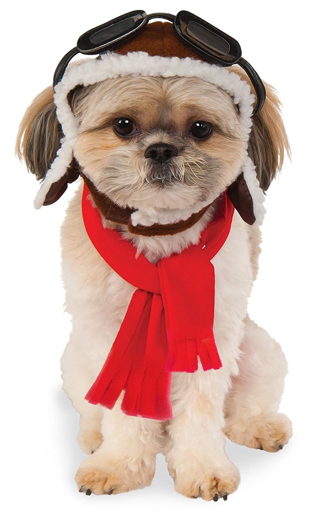 Aviator Hat and Scarf Set Pet Costume