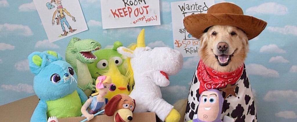 Disney Halloween Costume Ideas For Dogs
