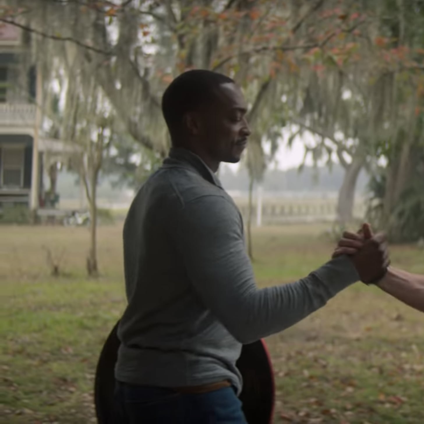 The Falcon And The Winter Soldier Tv Series Trailer Popsugar