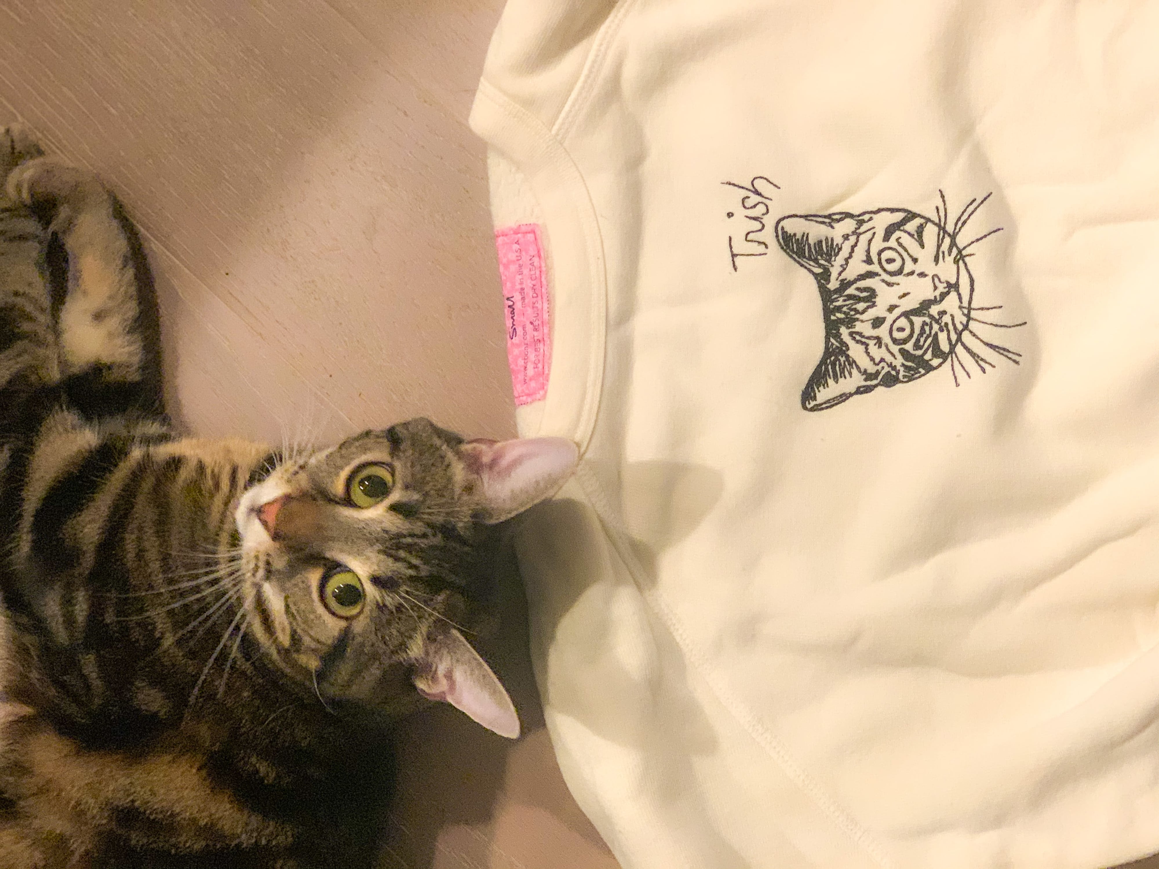 Staud custom sweatshirt deals