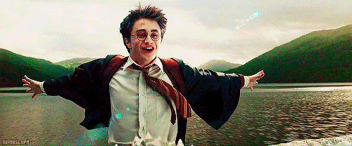Finally, when you remember the good news about Fantastic Beasts and Where to Find Them.