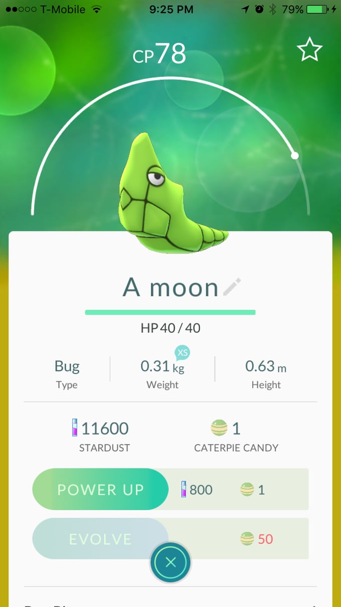 Metapod aka "A moon"