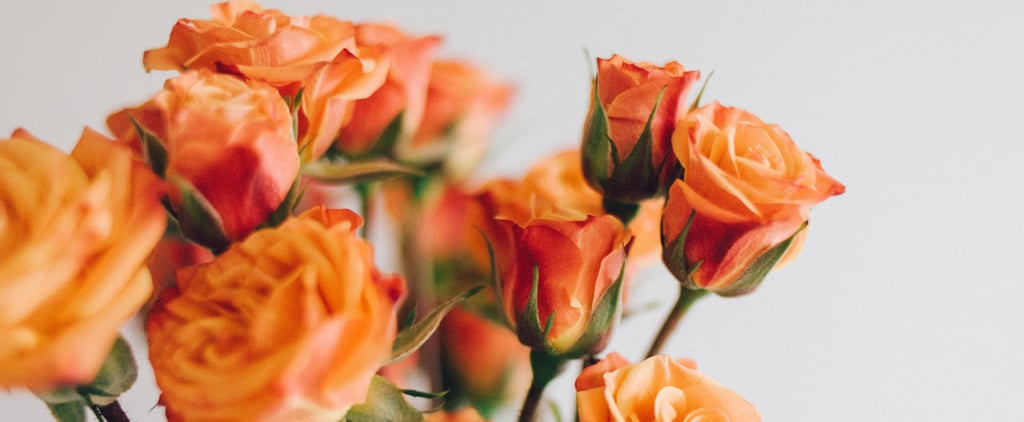 Dozen Roses on Amazon