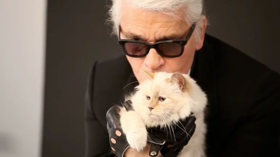 Karl Lagerfeld S Cat Choupette S Makeup Line Video Popsugar