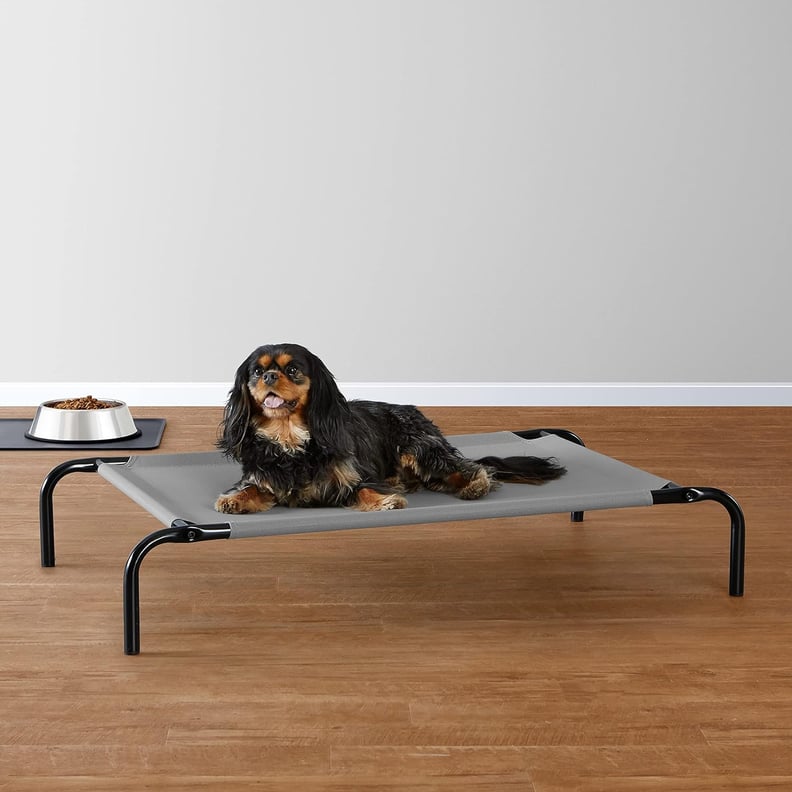 Best Minimalist Dog Bed