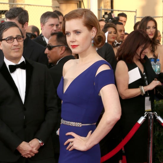 Amy Adams's Dress at SAG Awards 2014