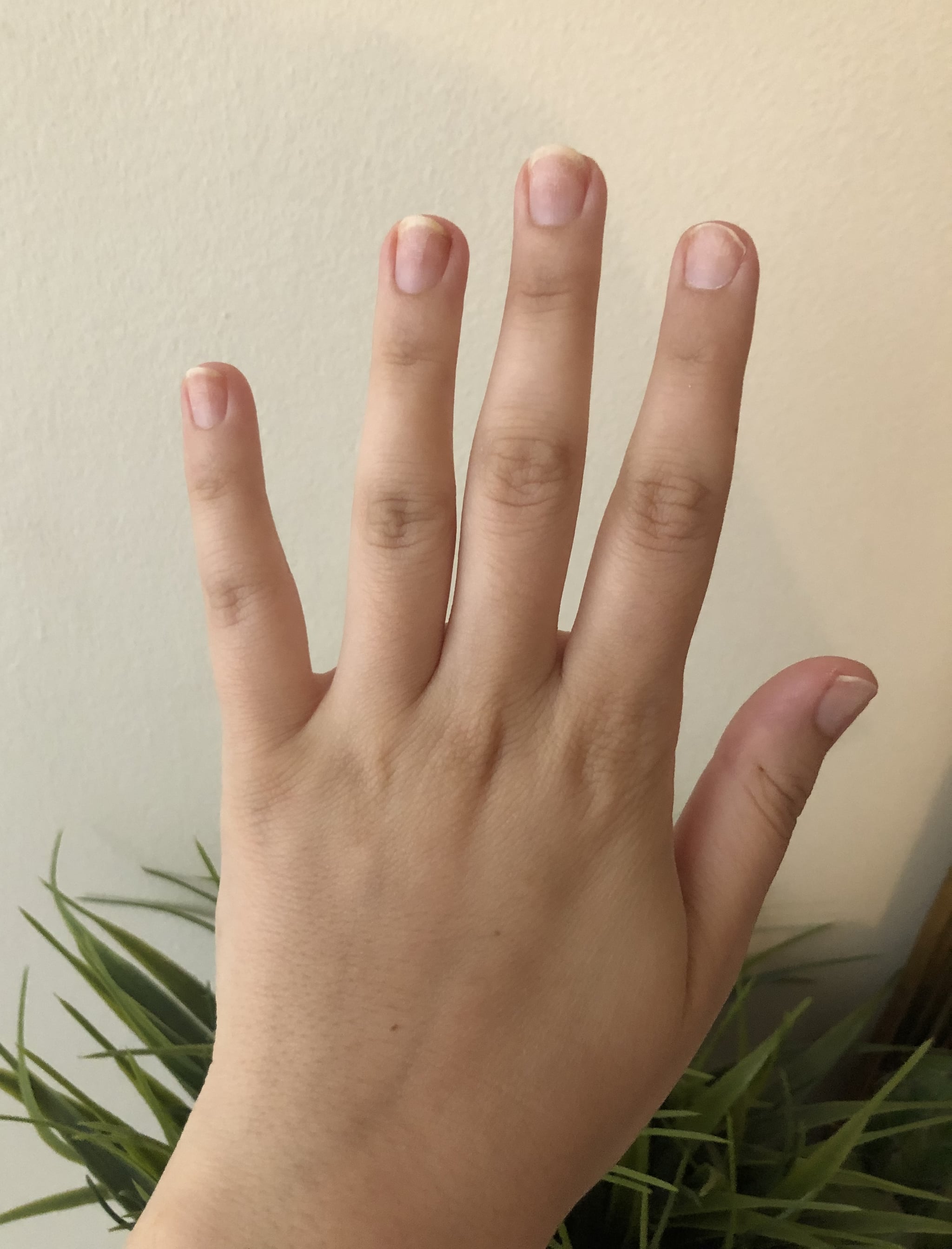 Nails Of La Press On Extension Manicure Review With Photos Popsugar Beauty