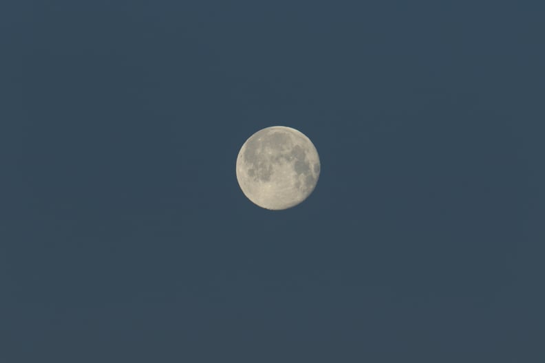 Wolf Moon