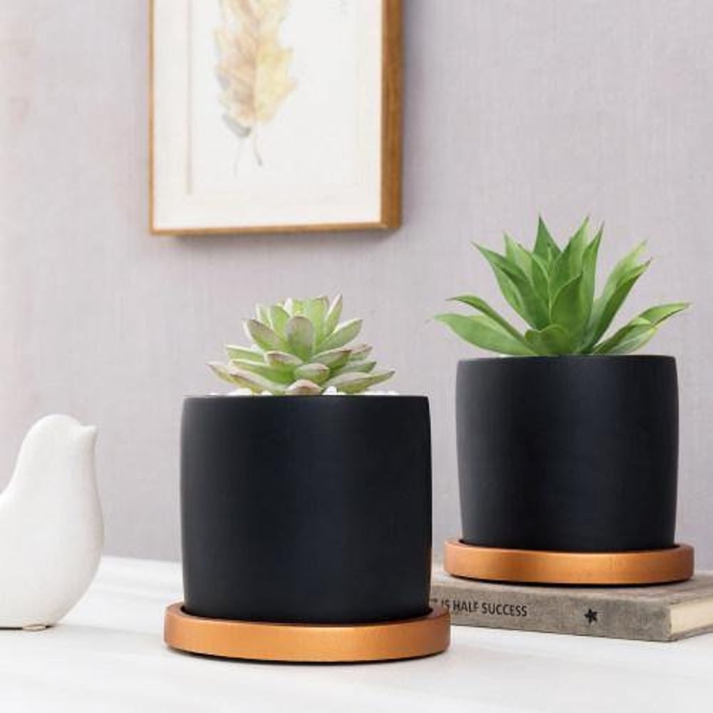 MyGiftUS Cement Planter Pots (Set of 2)