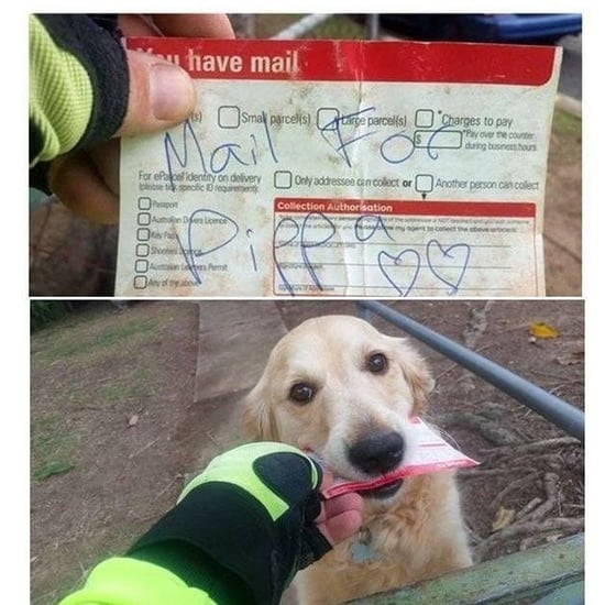 Mail Carrier Gives Letters to Dog Pippa