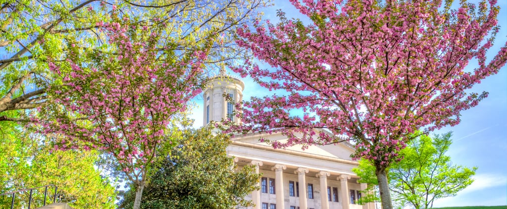 Places to See Cherry Blossoms