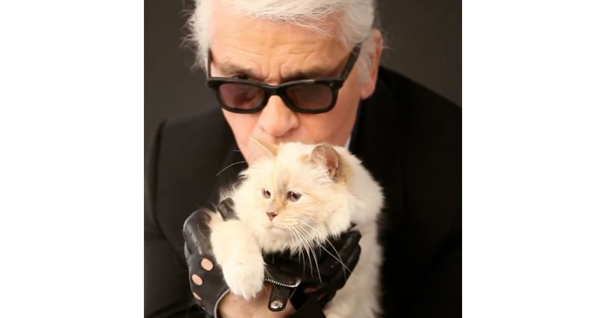 Karl Lagerfeld S Cat Choupette S Makeup Line Video Popsugar