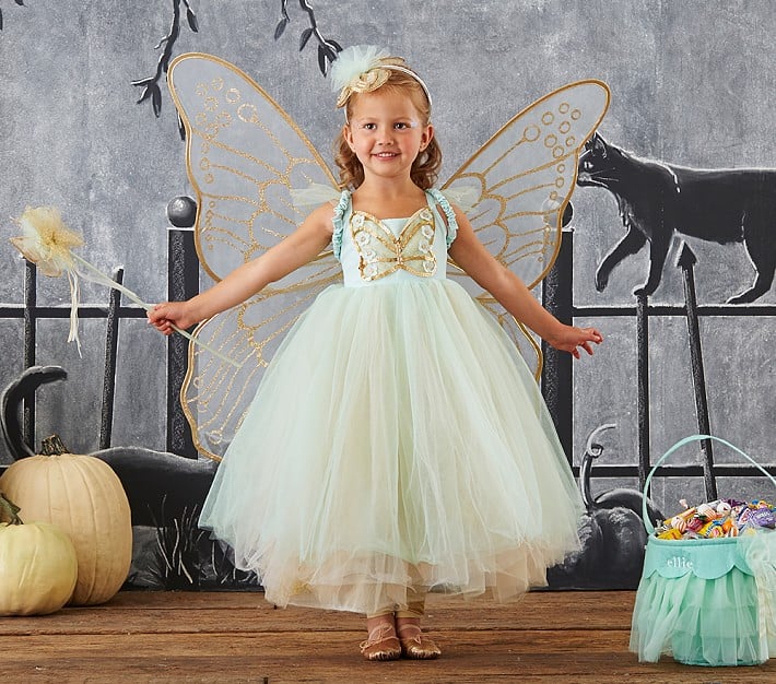 Butterfly Fairy Costume