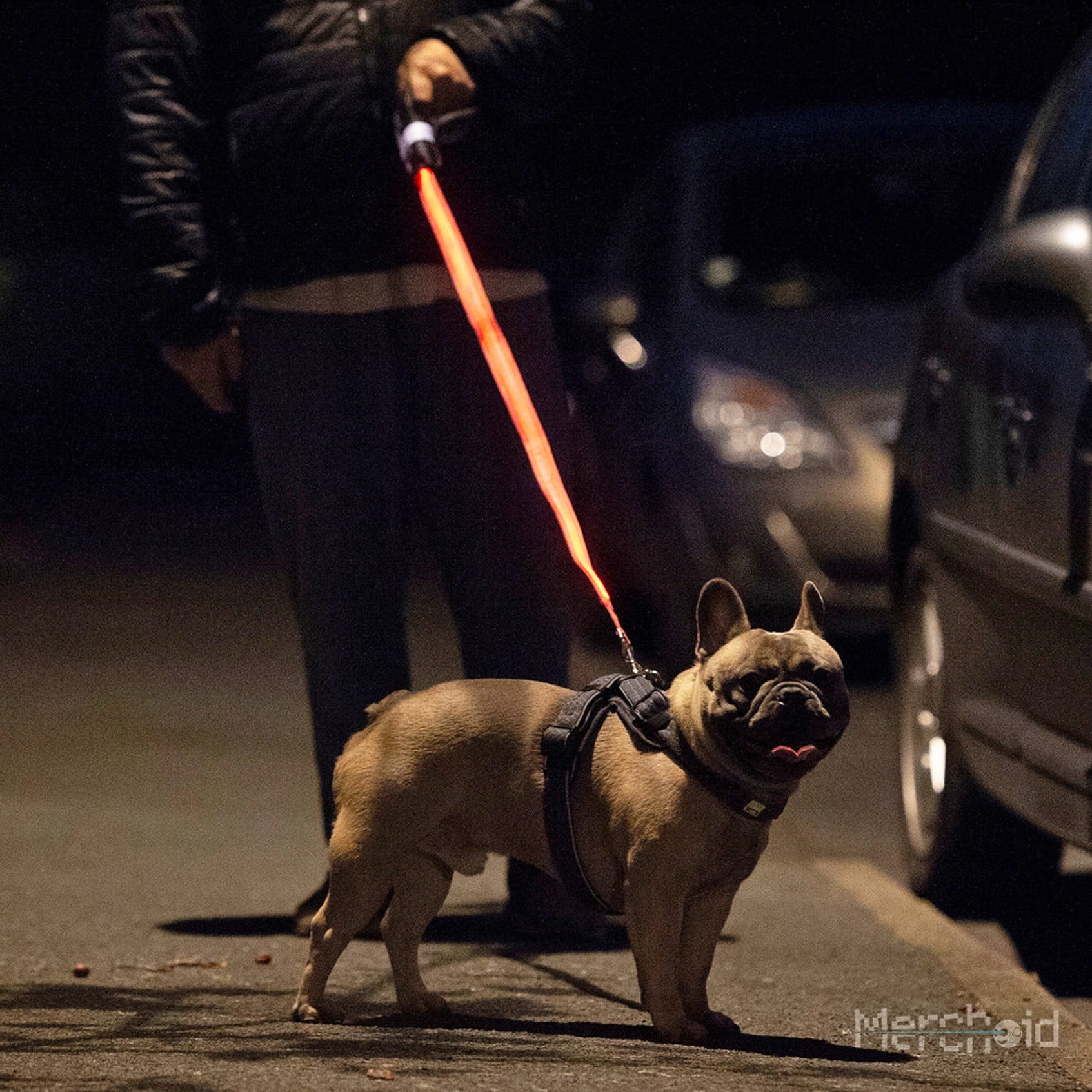 Lightsaber dog on sale lead