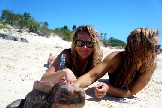 Getting photobombed by Iguanas.