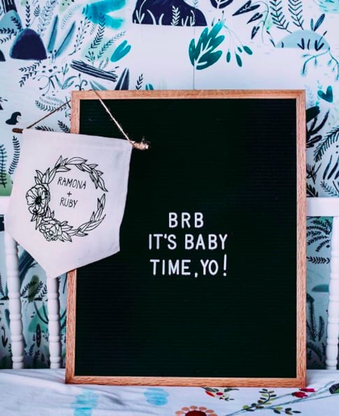 Mom's Countdown to Twins Letter Board Photo Series