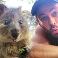 Chris Hemsworth Befriended a Furry Quokka, and the Video Is TOO Cute!