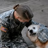 Dog Crying When Her Soldier Returns Home | Video