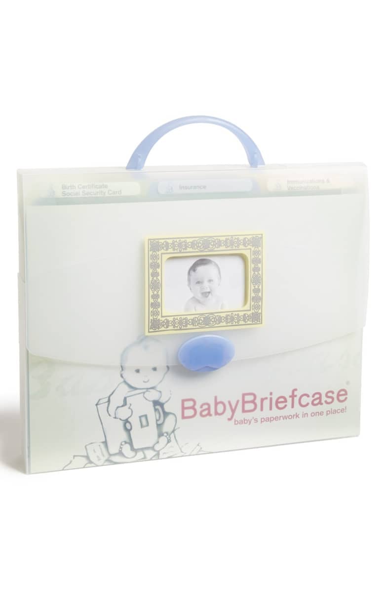 BabyBriefcase Document Organizer
