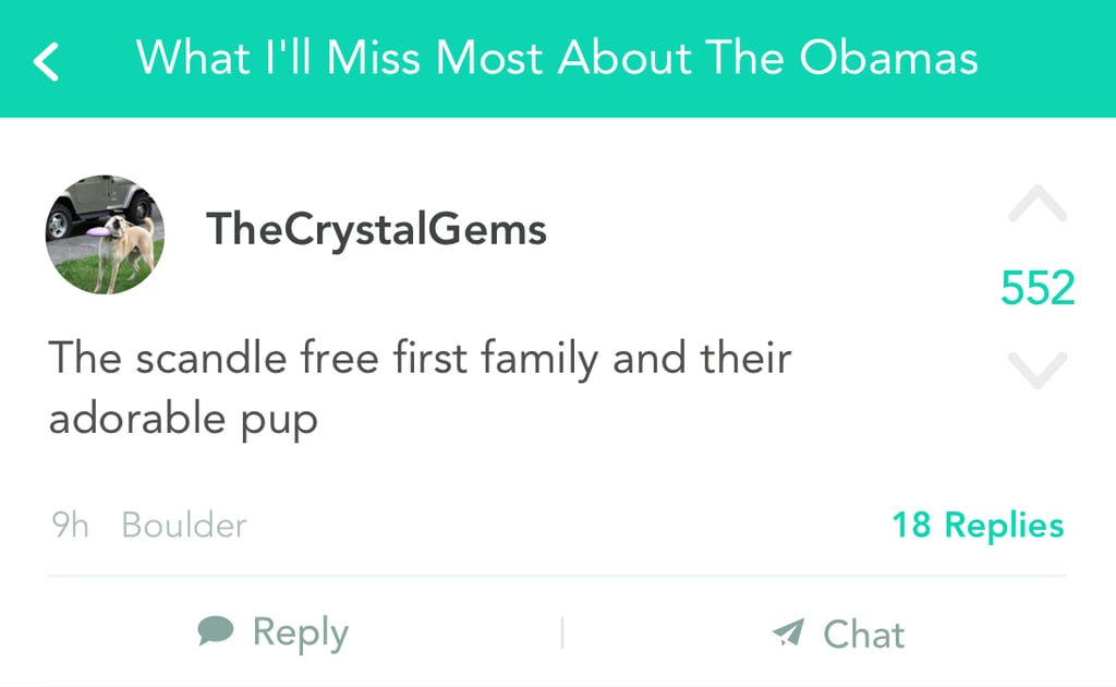 Their dogs, Bo and Sunny.