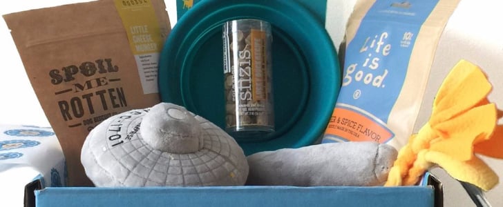 Subscription Boxes For Pets