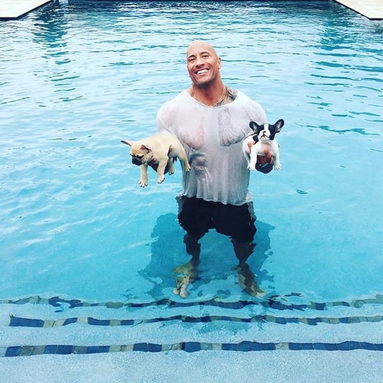 Dwayne "The Rock" Johnson Saves Puppies From Drowning