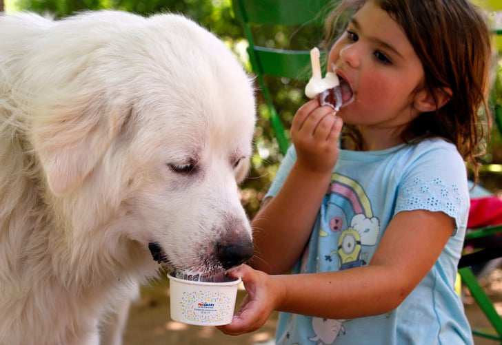 Does Petsmart Sell Dog Ice Cream