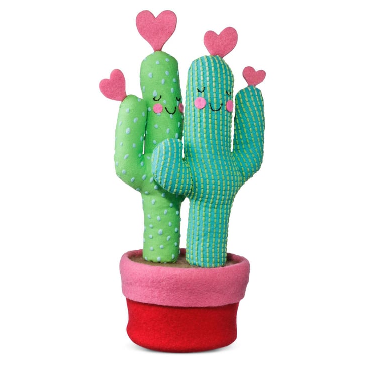 plush cactus plant