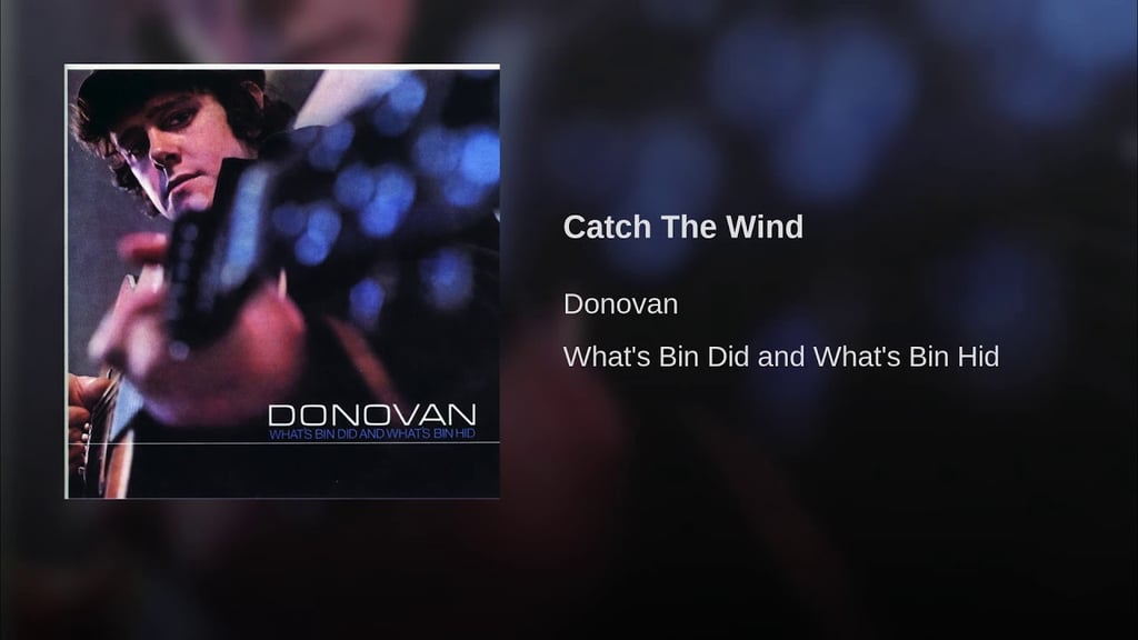 "Catch the Wind" by Donovan