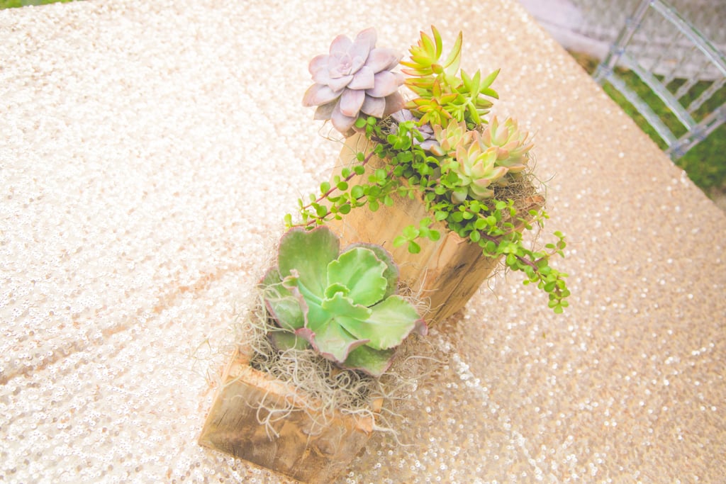 Succulent Accents