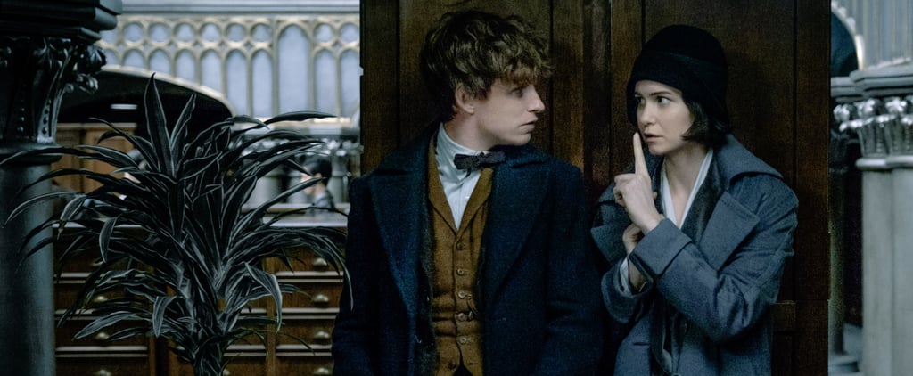 Will Harry Potter Fans Like the Fantastic Beasts Movie?