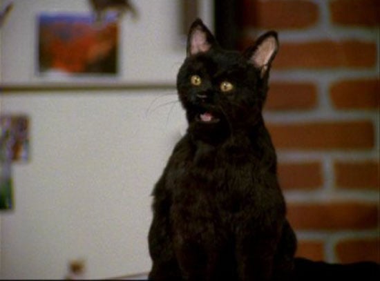 Salem Saberhagen