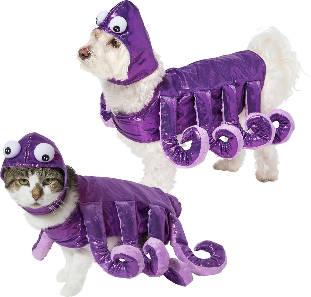 Frisco Octopus Dog & Cat Costume