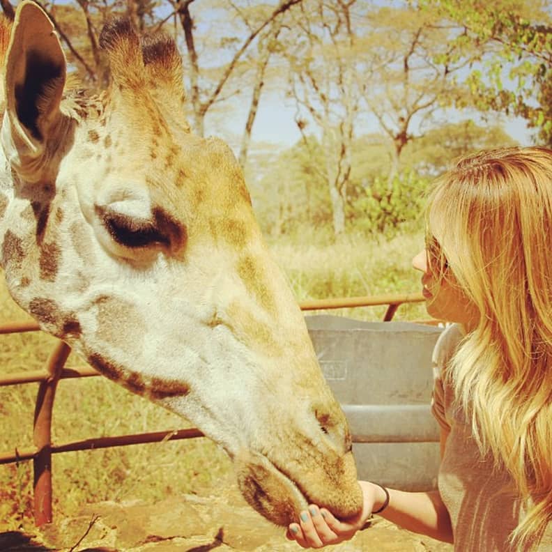 Lauren conrad clearance giraffe necklace
