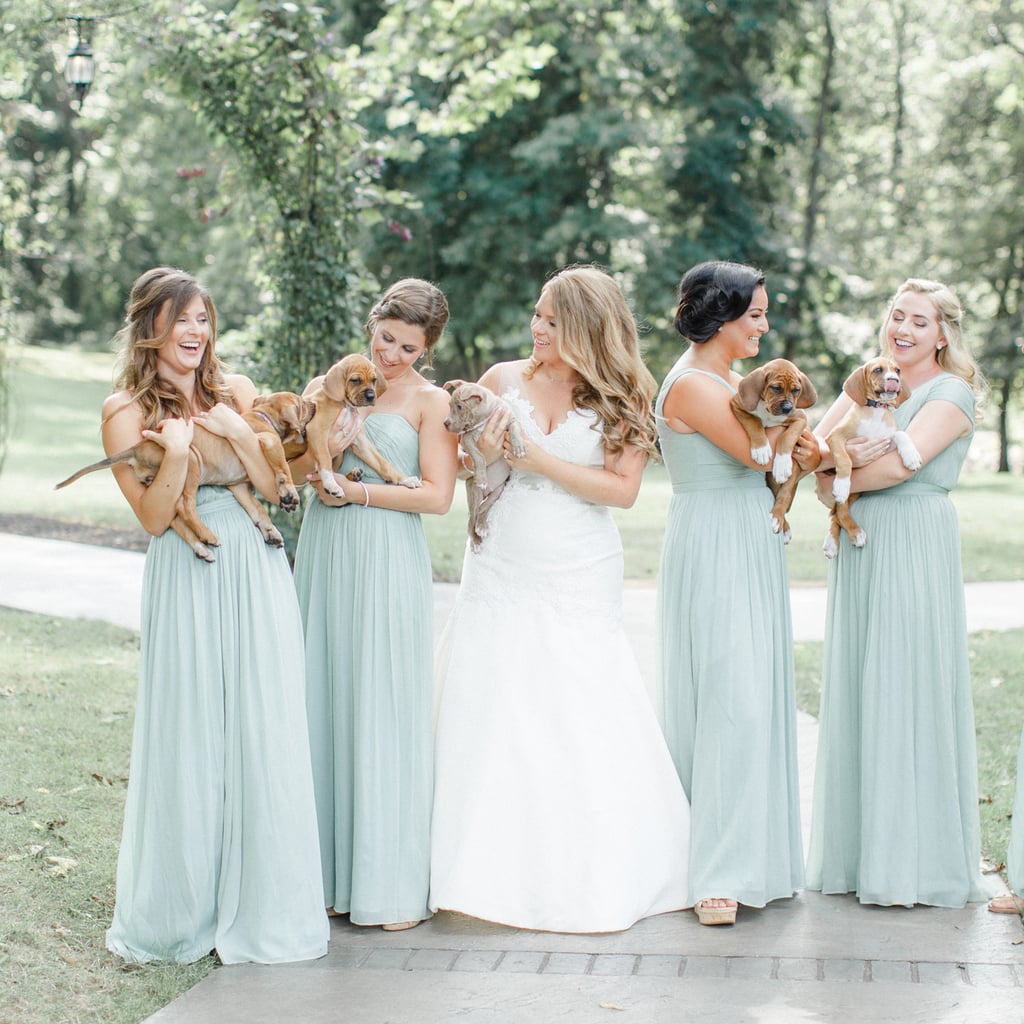 Bride Uses Puppies in Wedding Photos