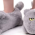Amazon Is Selling Heated Cat Slippers That Have an Attitude Problem, and Same