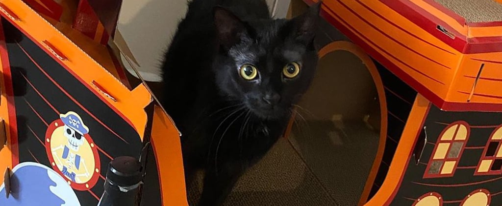 Target's Halloween Pirate Ship Cat Scratchers Are So Spooky