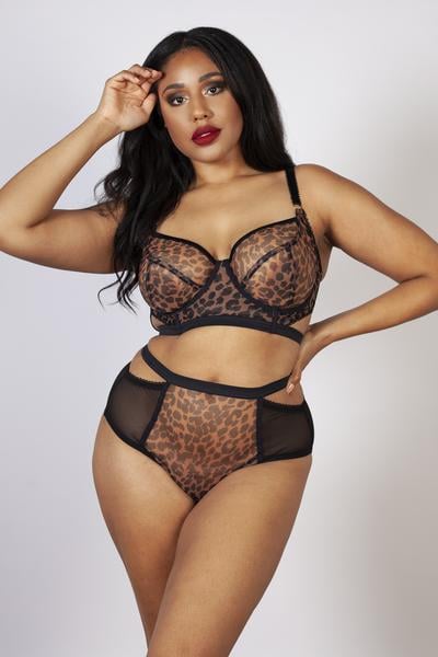 Gabi Fresh Alexis Leopard Print Mesh Cut Out Brief