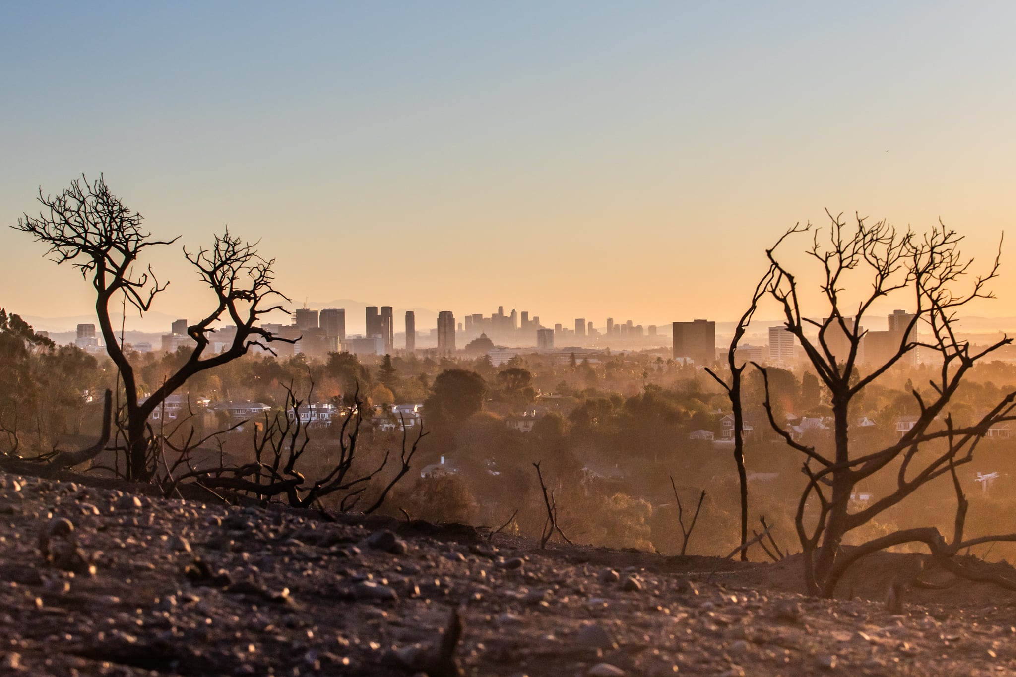 protect skin and hair from wildfire smoke