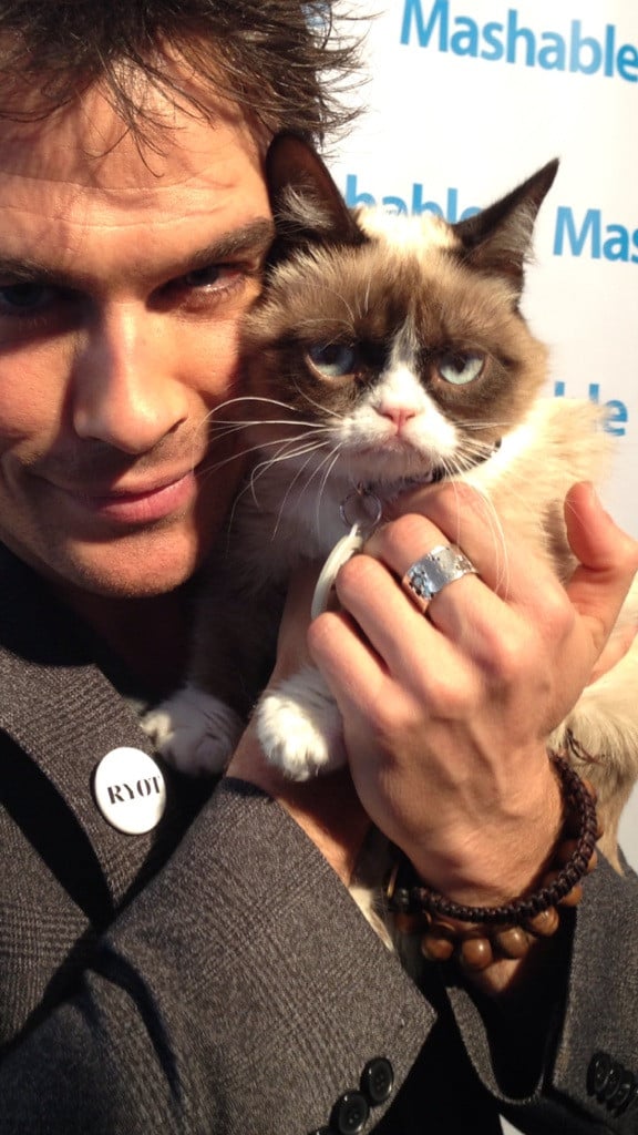 Ian Somerhalder Meeting Grumpy Cat