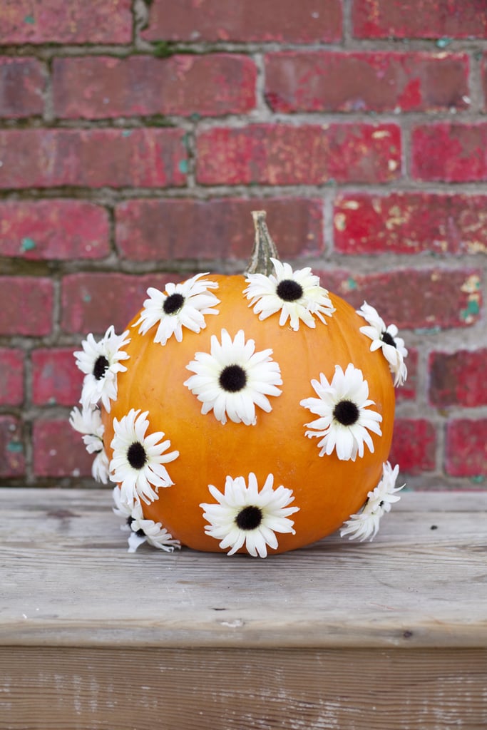 Flower Polka Dots Pumpkin Flower Polka Dots Pumpkin
