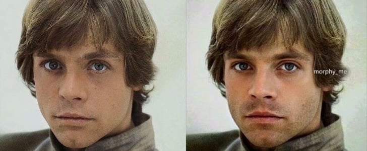 Sebastian Stan and Mark Hamill Look the Same
